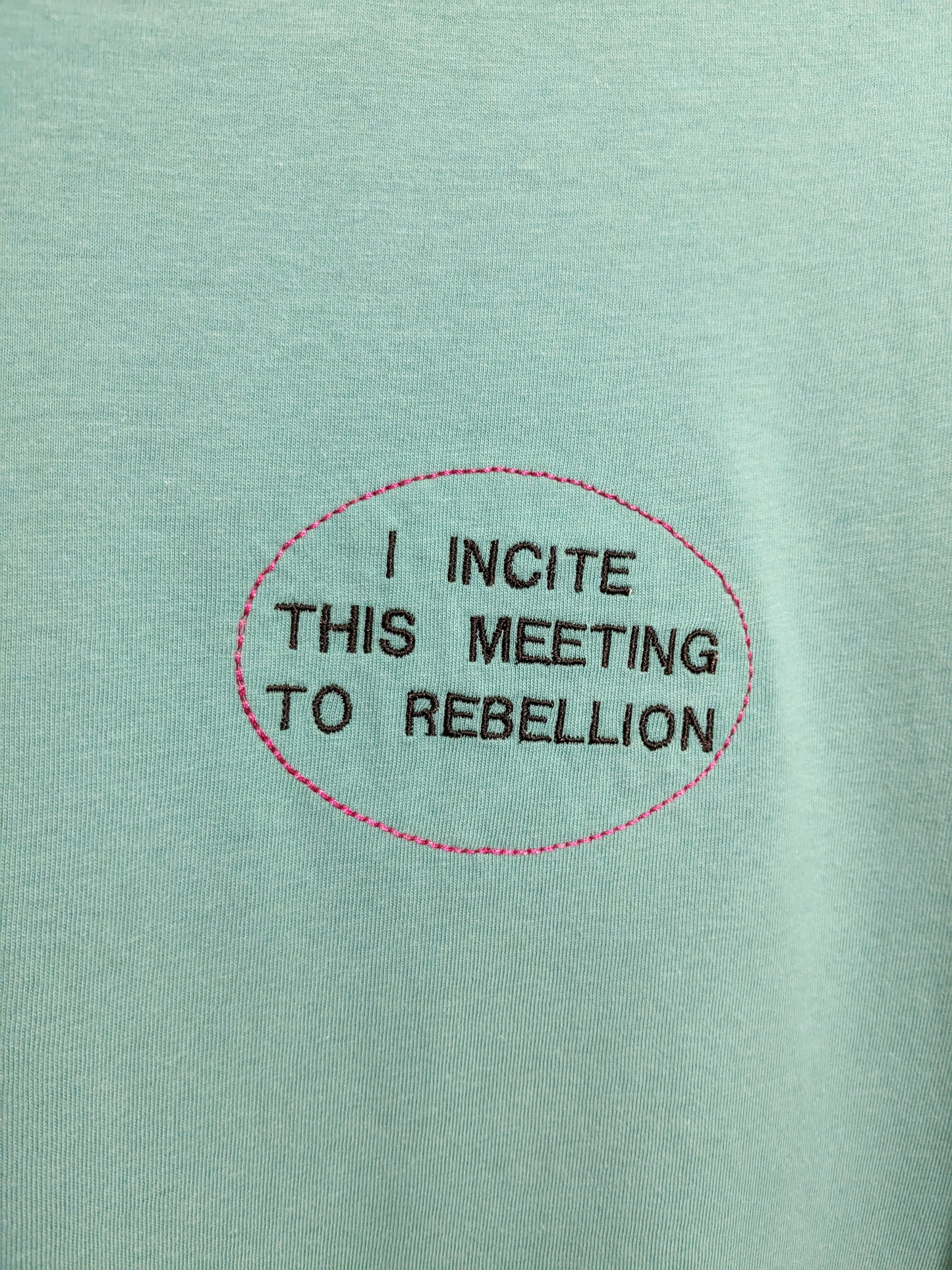 Small Light Blue T-shirt - Embroidered Suffragette Iconic Quote - Emmeline Pankhurst 'I Incite This Meeting To Rebellion'